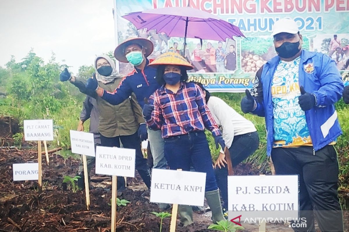Ketua DPRD dukung pemuda Kotim kembangkan pertanian