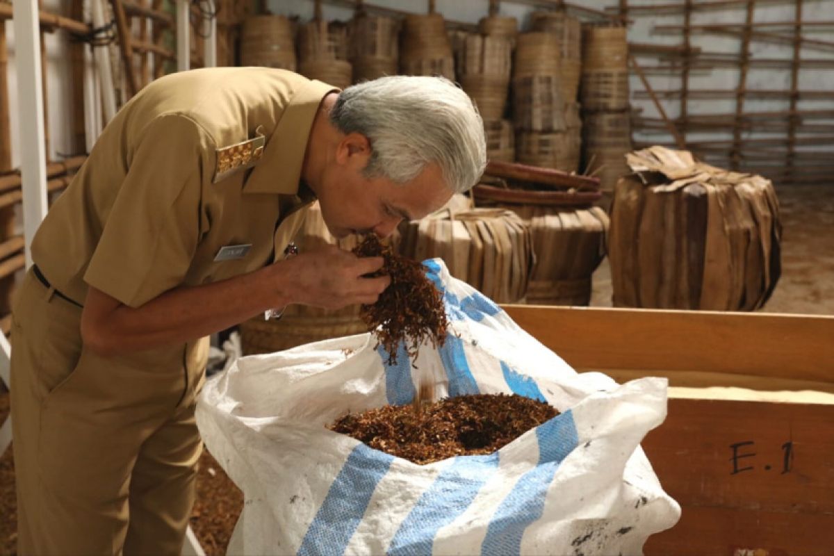 Gubernur Jateng minta pabrik rokok percepat beli tembakau petani