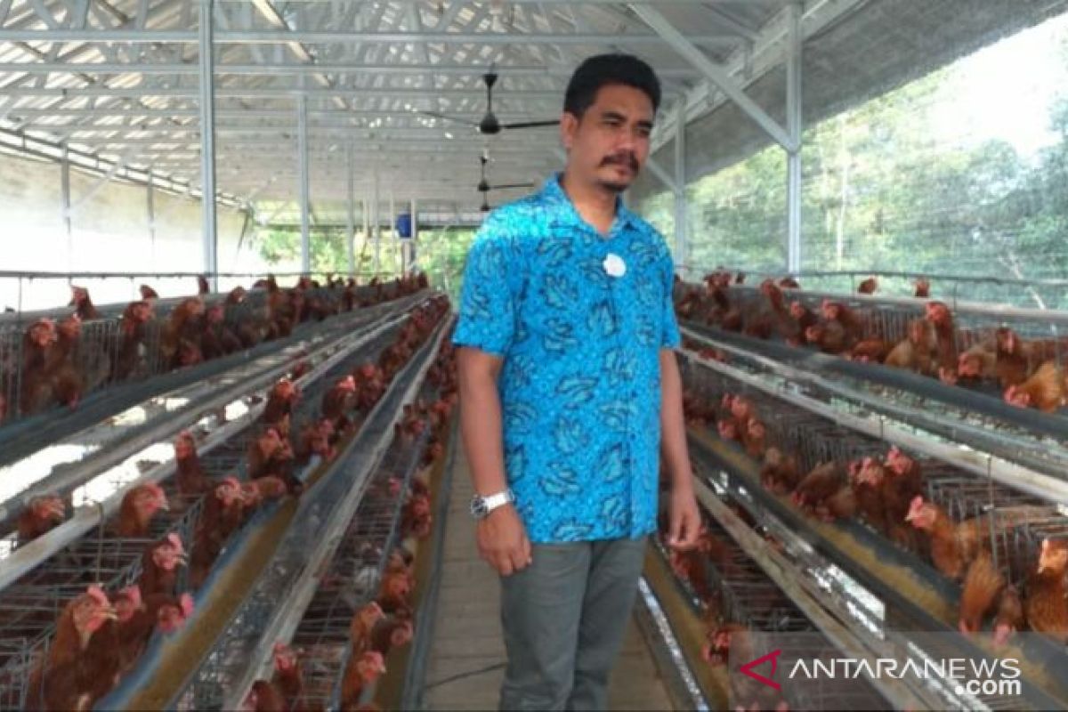 Pemdes Perawas jalankan usaha ayam petelur tingkatkan pendapatan desa