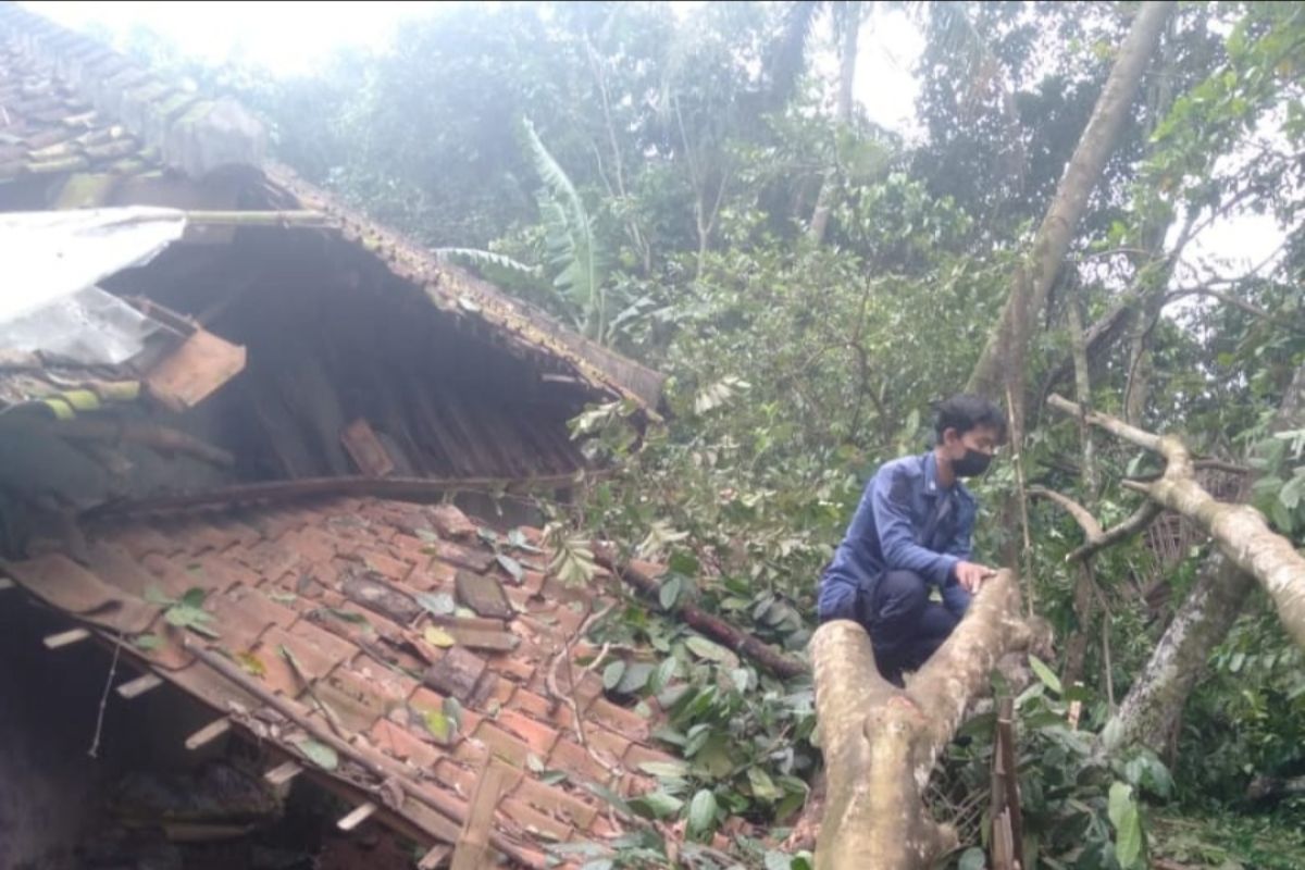 Dua rumah warga rusak akibat tertimpa pohon tumbang di Tangerang