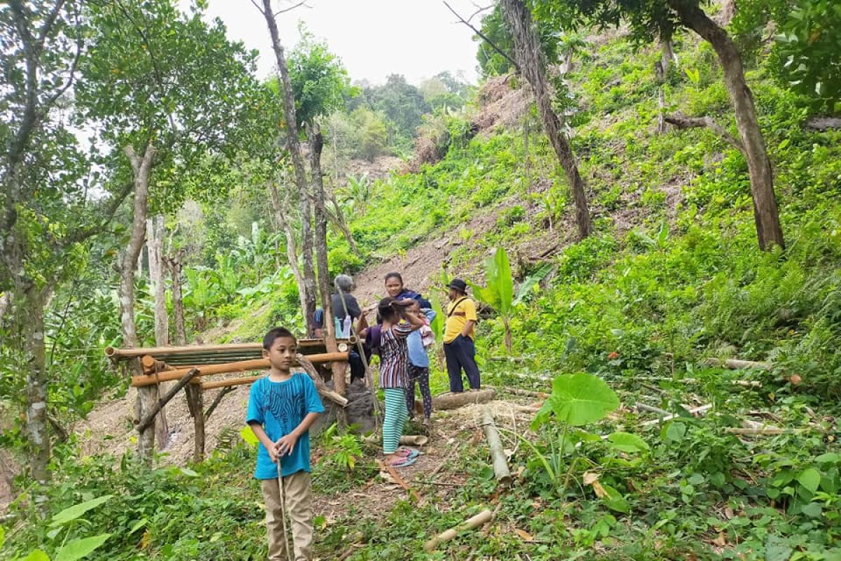 Pemdes gandeng Gapoktan kembangkan hutan Senggigi