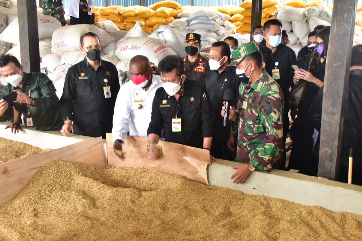 DPD RI lauds Agriculture Ministry's development measures in Papua