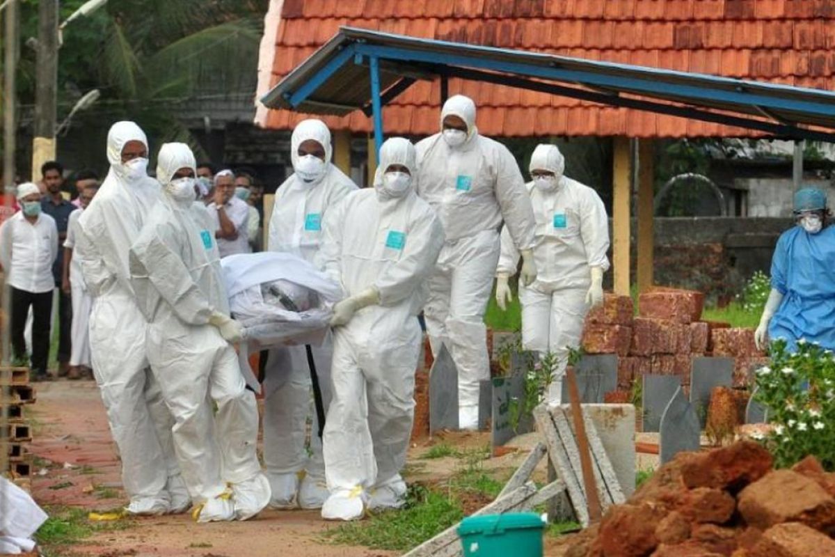 Lampung periksa sampel kelelawar cegah virus Nipah