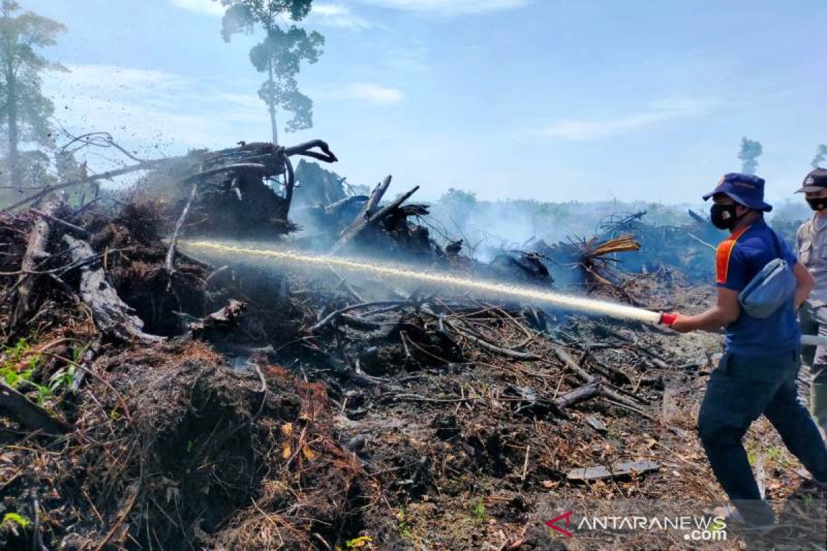 Dua hektare lahan gambut terbakar di Nagan Raya, begini upaya BPBD, TNI dan Polri