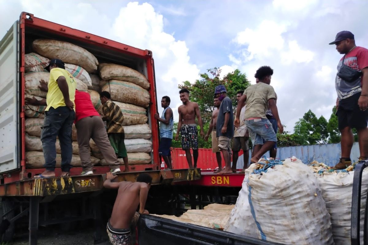 Biak kirim 15 ton jahe ke pasar Kota Jayapura