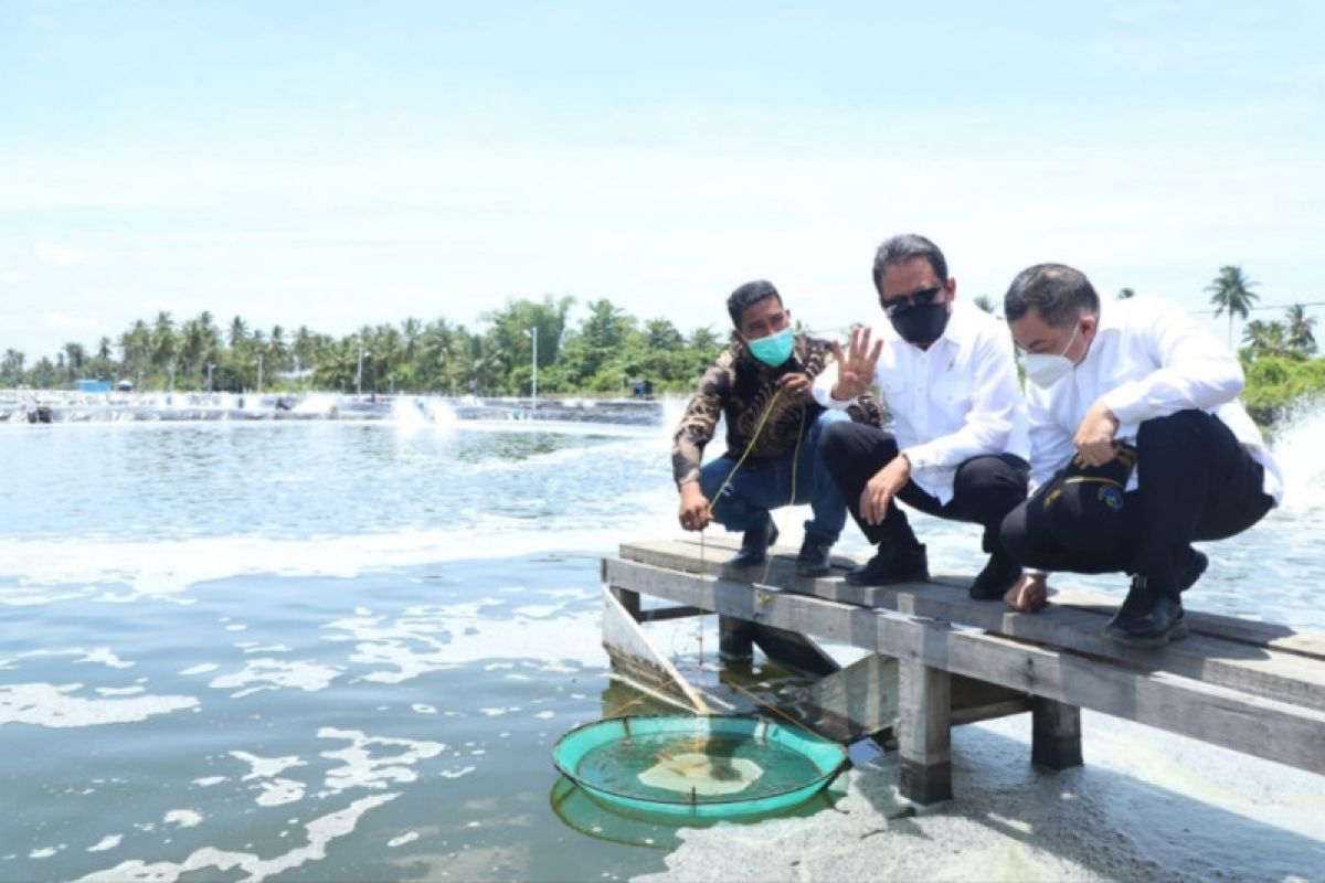 Menteri Trenggono: Tambak udang di Aceh Timur ciptakan multiplier effect