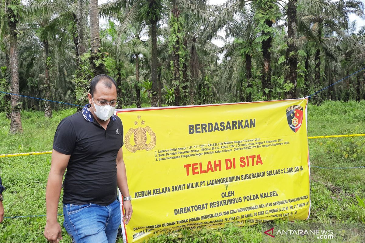 Polda Kalsel tindak tegas perkebunan kelapa sawit di kawasan hutan