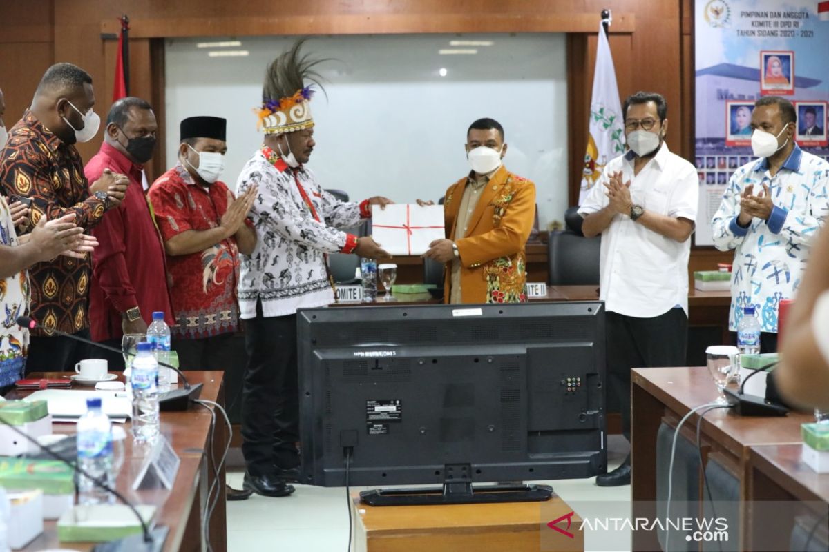 Senator ajak semua pihak kawal RPP Otsus Papua