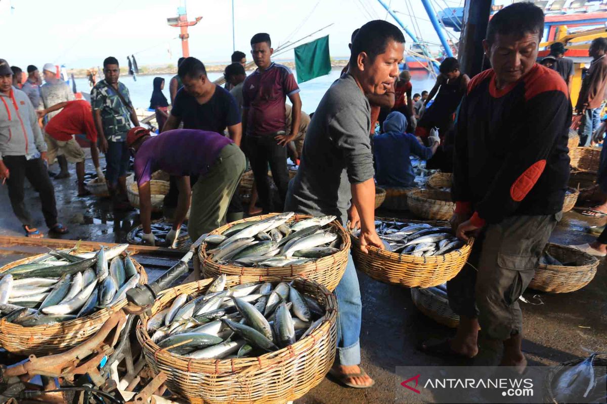 Gernas BBI, KKP bakal umumkan peserta terbaik Masterclass Ikan vs Kopi