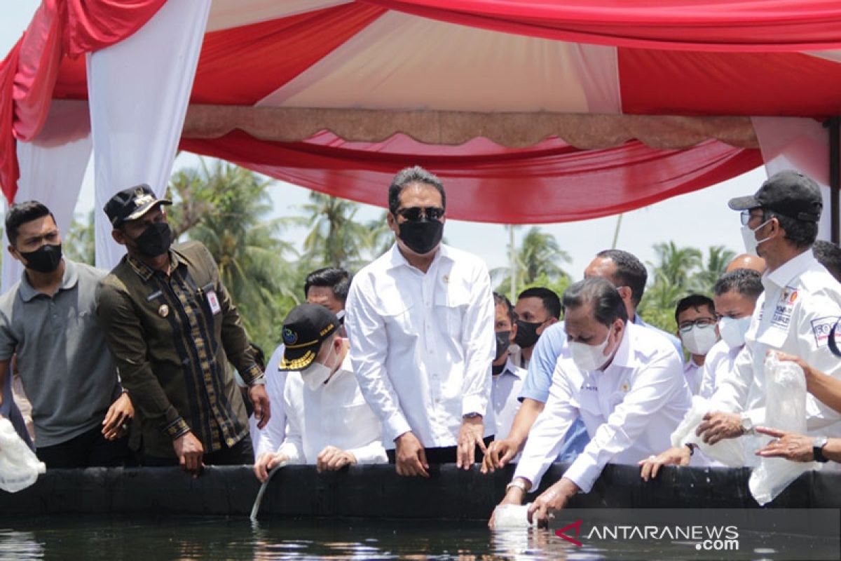 Menteri Trenggono sebut Aceh bakal jadi penghasil udang terbesar RI