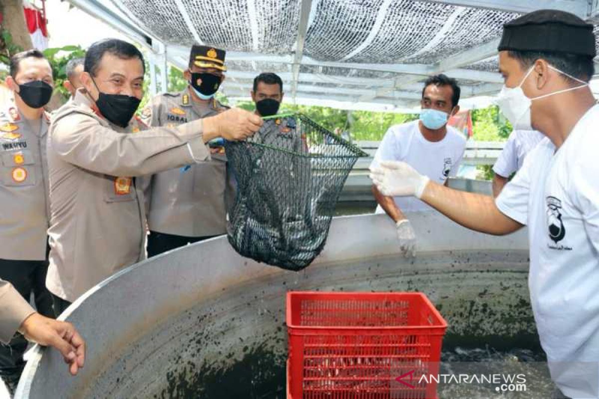 Kapolda Jateng panen dan tabur benih lele di Sukoharjo