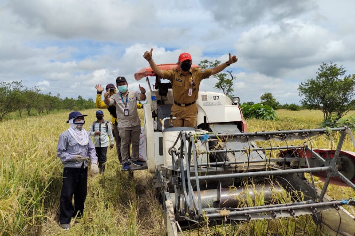 South Kalimantan more potential to supply rice for new national capital