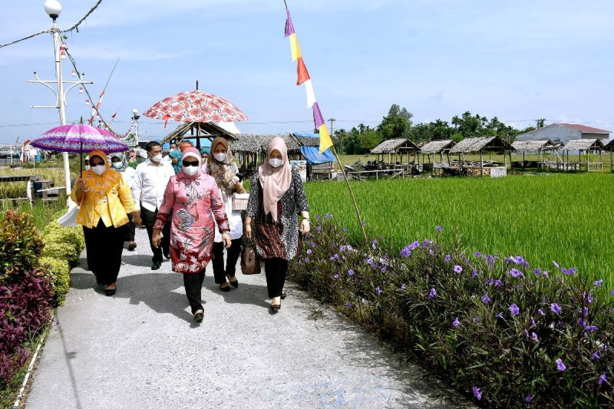 Deliserdang dorong pengembangan motif batik pengrajin