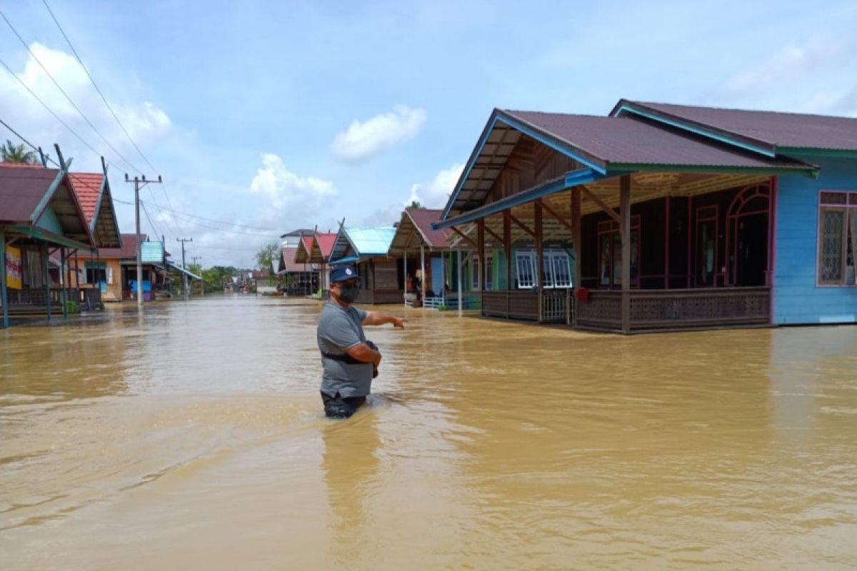 Banjir rendam 12 desa di Pulang Pisau