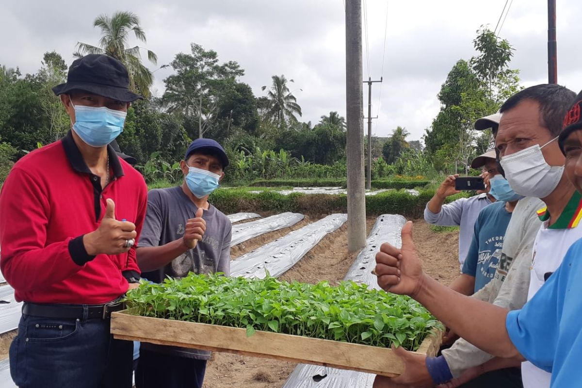 Pemkab Badung antisipasi kelangkaan-kenaikan harga cabai