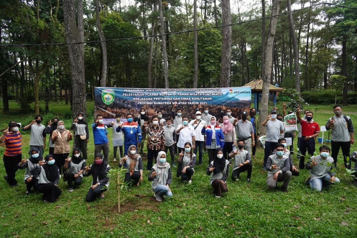 Pertamina Patra Niaga jalankan program pelestarian pohon unglen