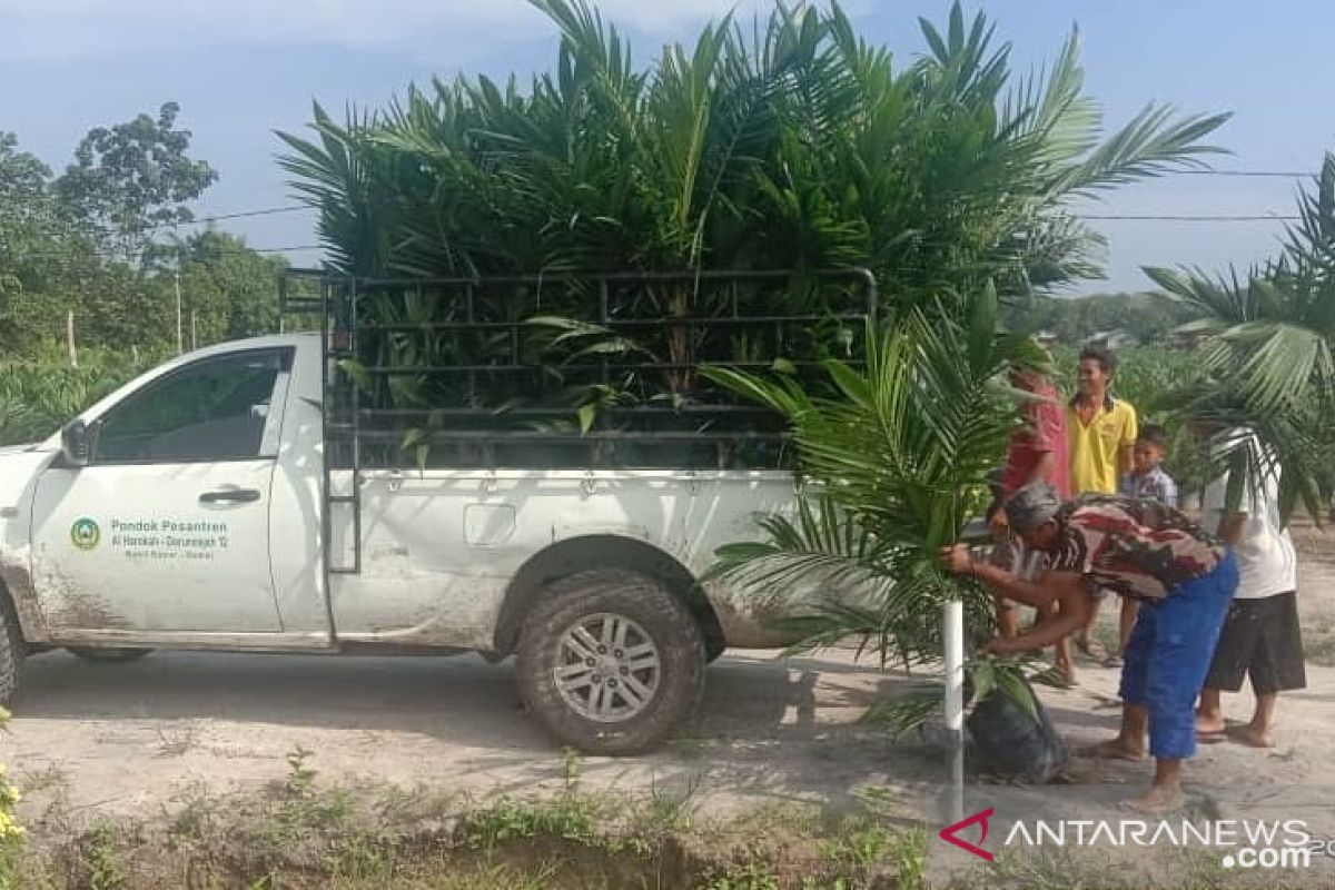 Petani Riau borong 708.277 bibit sawit unggulan PTPN V