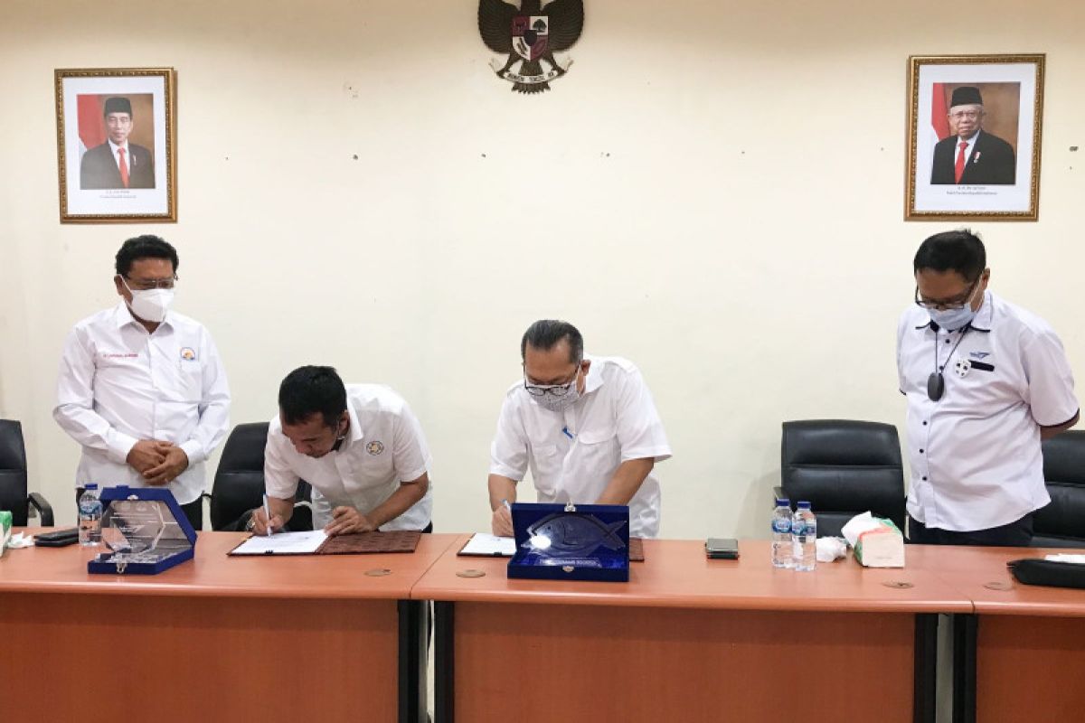 BUMN Perikanan siap beli hasil laut dan budi daya Hipmikimdo