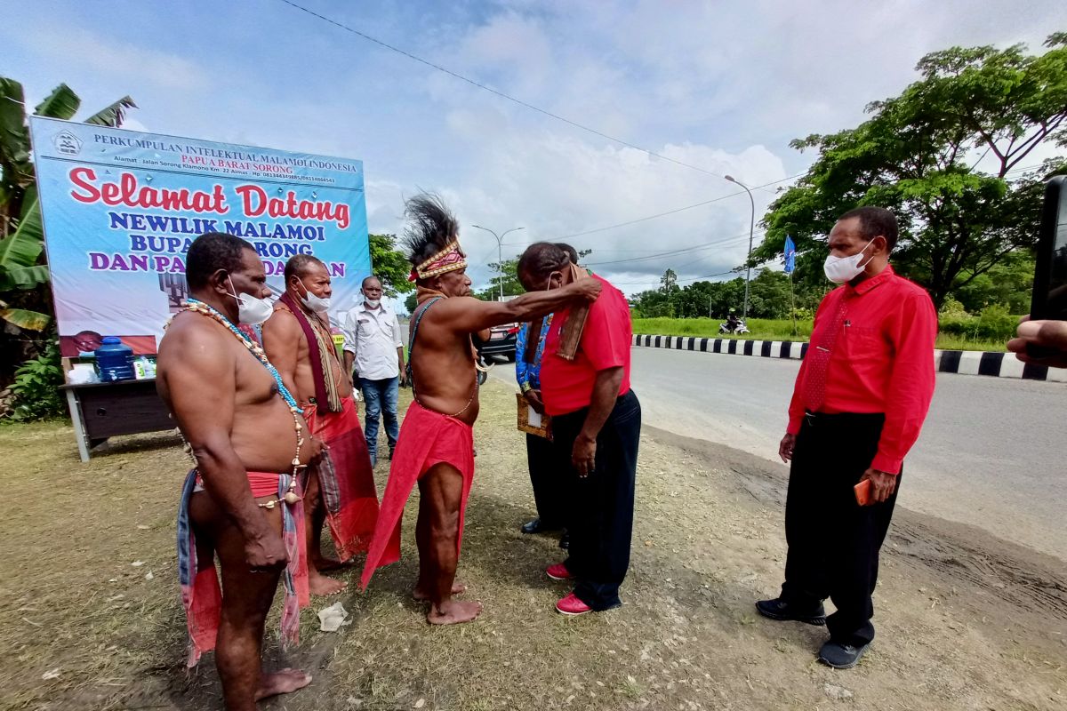 Masyarakat adat Malamoi minta Jokowi moratorium perkebunan sawit di kabupaten Sorong