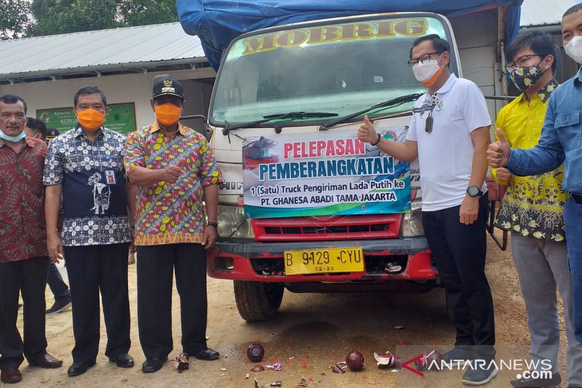 Bupati Belitung melepas pengiriman enam ton lada putih
