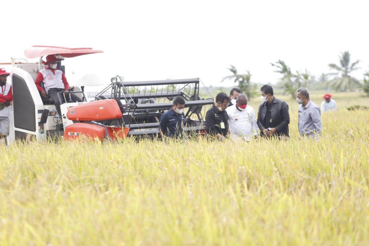 Akademisi: Indonesia harus jaga surplus perdagangan sektor pertanian