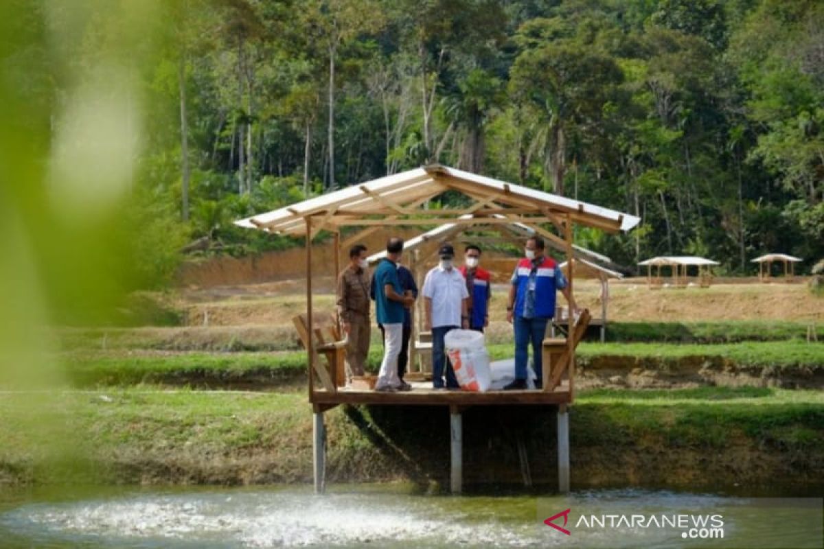 Pemrov Riau promosikan wisata Koto Masjid yang kian mempesona