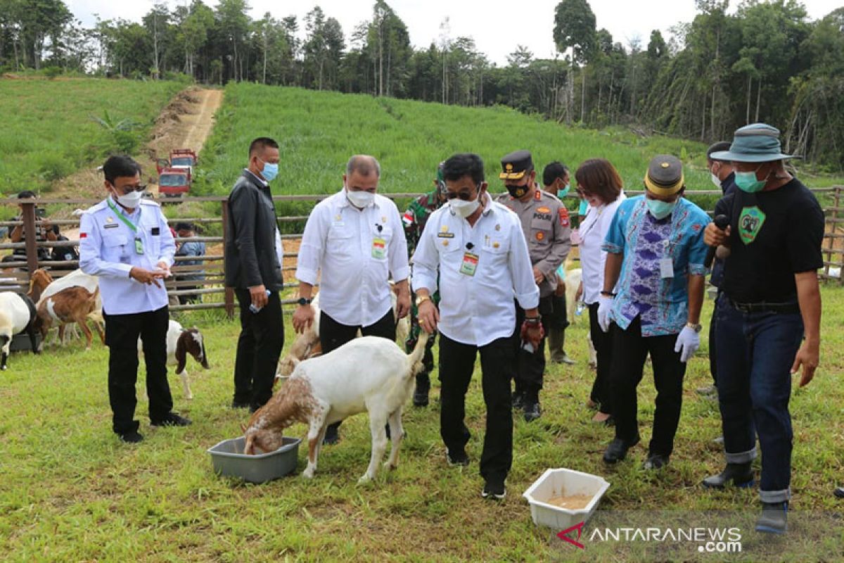 Minister promises integrated agriculture sector in North Kalimantan