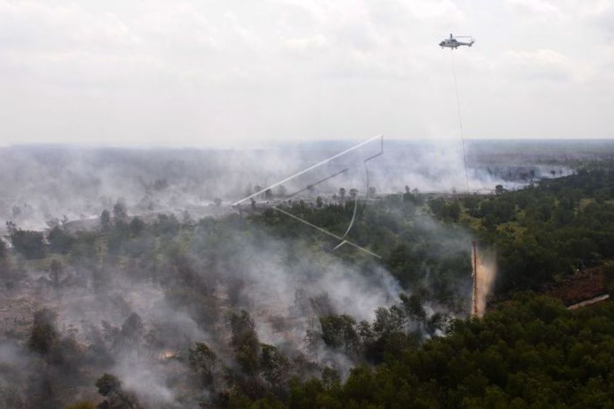 Sumatera Selatan waspadai  karhutla hingga akhir September 2021