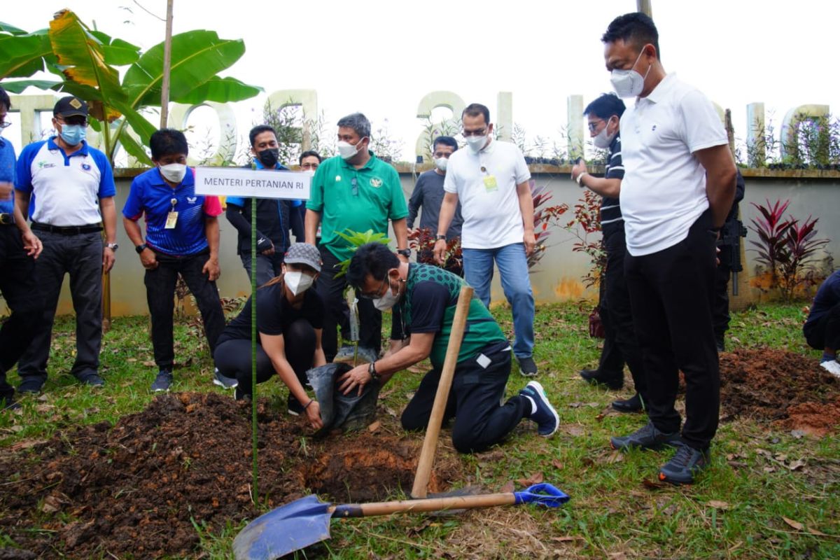 Saat Mentan Syahrul menikmati jogging di Taman Digulis Pontianak