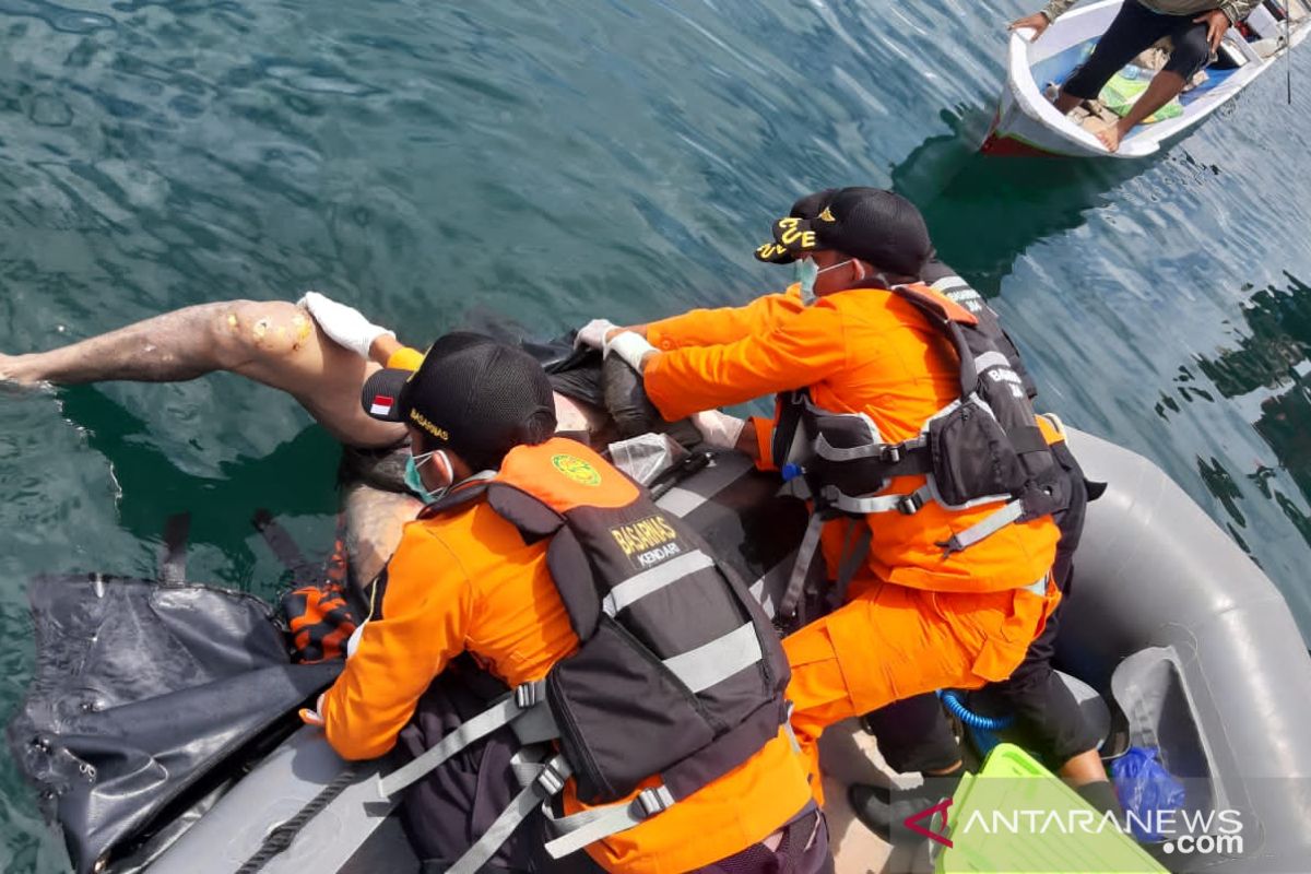 Nelayan korban kecelakaan laut di Konsel ditemukan meninggal