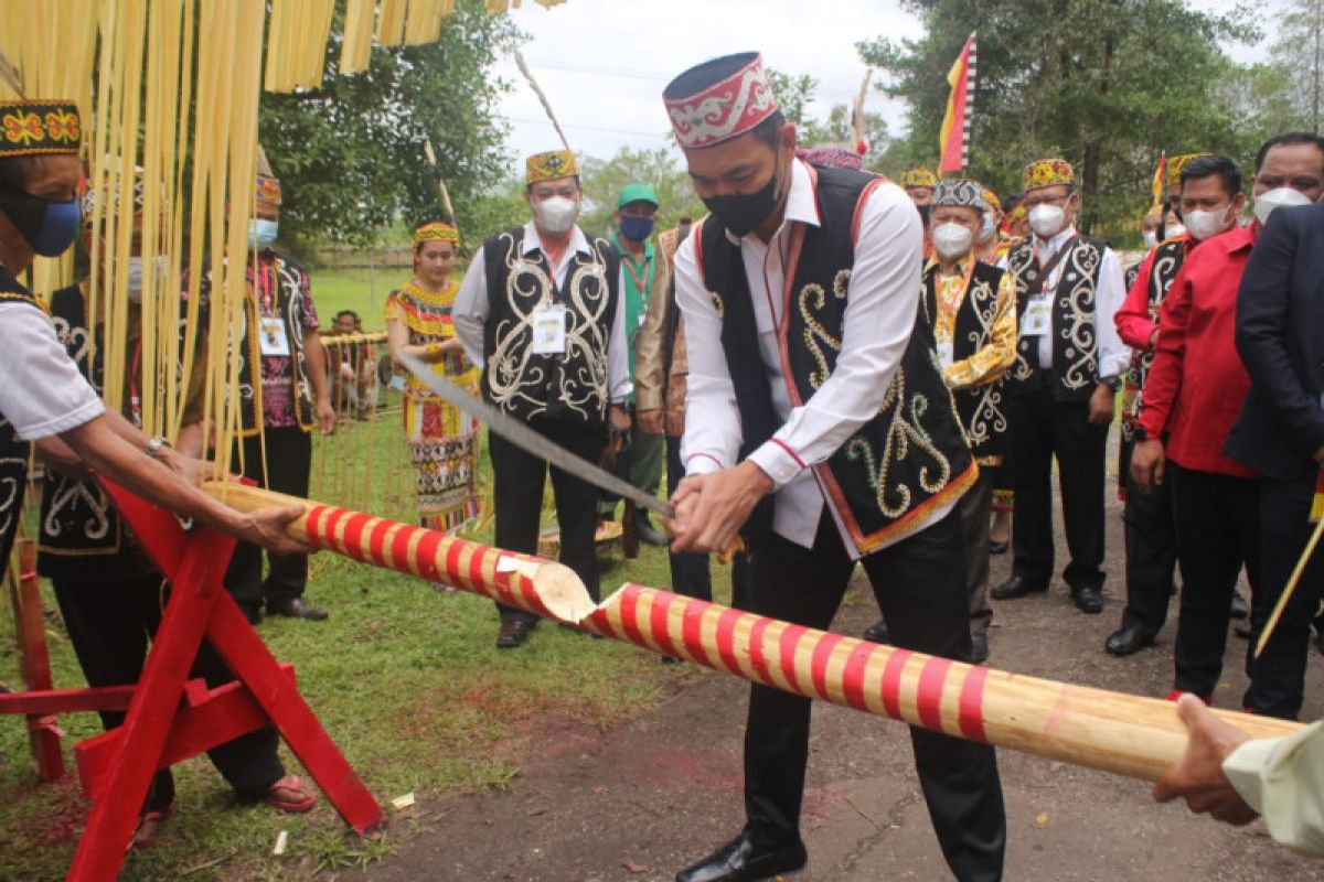 Suku Dayak Taman di Kapuas Hulu revisi hukum adat