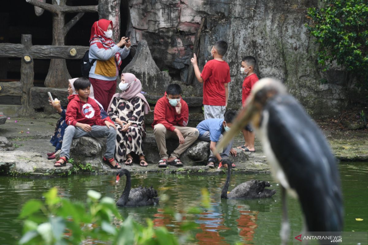 TMII tunggu Dinas Parekraf DKI soal pengunjung anak sebelum 12 tahun