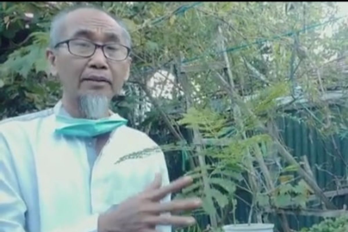 Mohammad Ridho, guru yang mencintai tanaman pewarna