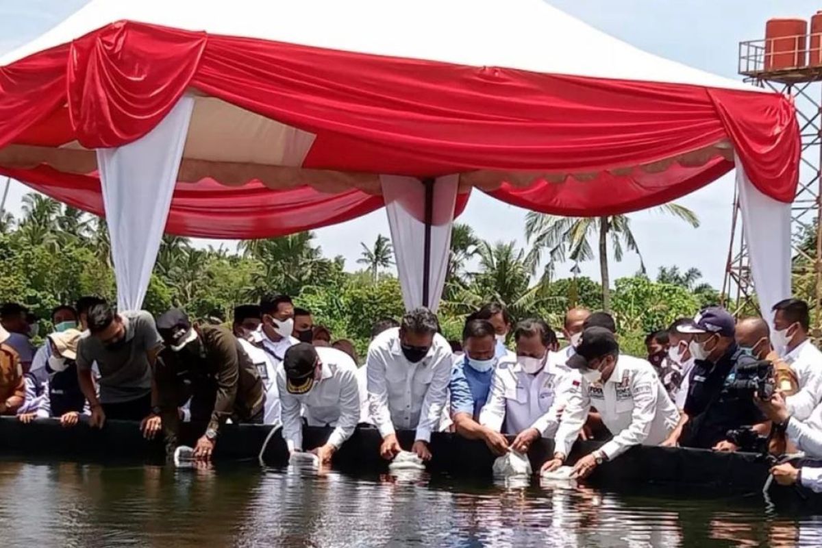 PLN dukung pengembangan budidaya tambak di Aceh Timur