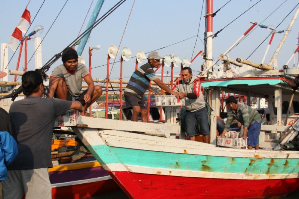 Kemenko Marves-ILO menyusun regulasi lindungi pelaut di Indonesia
