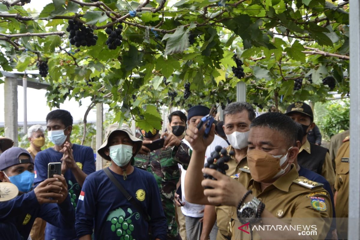 Pemkot Palu  buat rencana induk pertanian dukung peningkatan produksi