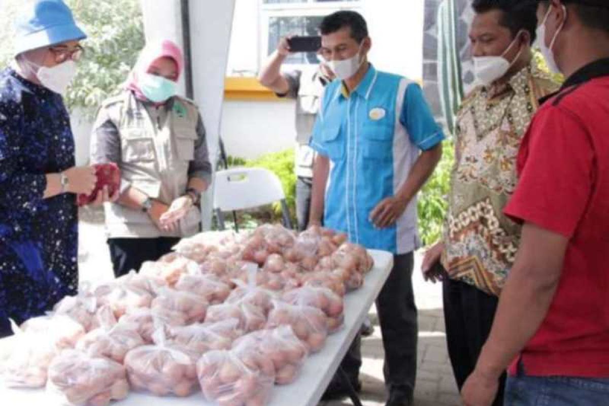 Harga telur ayam ras turun, peternak di Magetan merugi