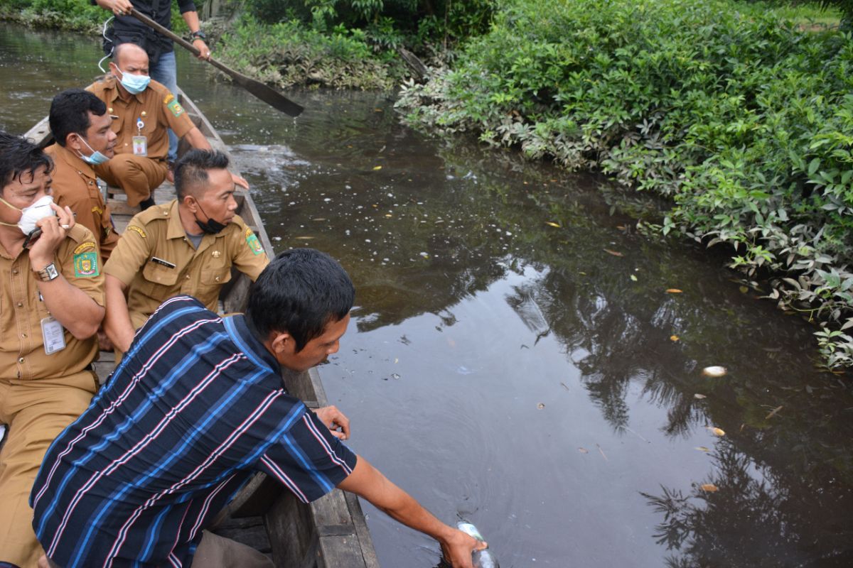 Ribuan ikan di Sei Sirah mati, Pemkab Langkat ambil sampel air yang diduga tercemar limbah