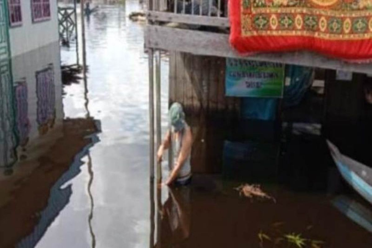 Sebanyak 1.134 rumah terdampak banjir di Barito Selatan