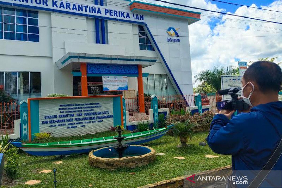 Pengawasan kesehatan ikan di kampung budi daya