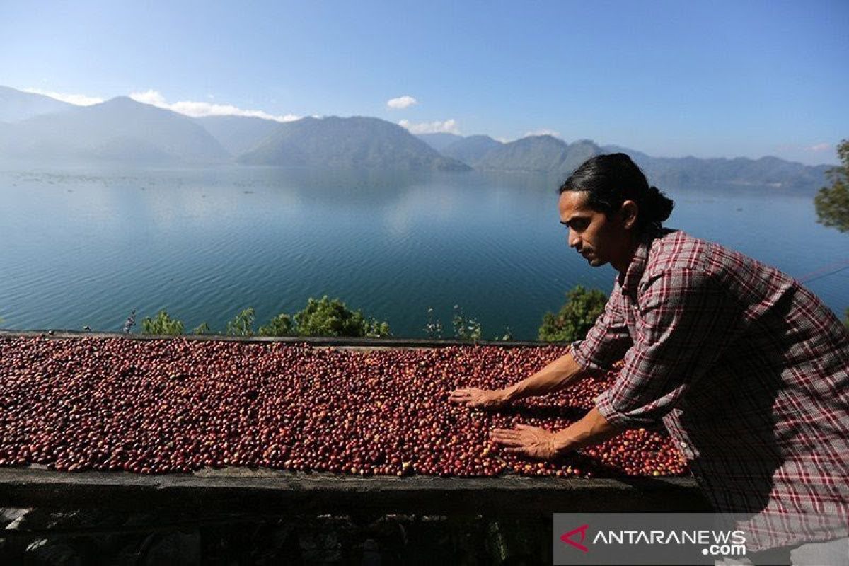 UMKM di Aceh kembang konsentrat kopi