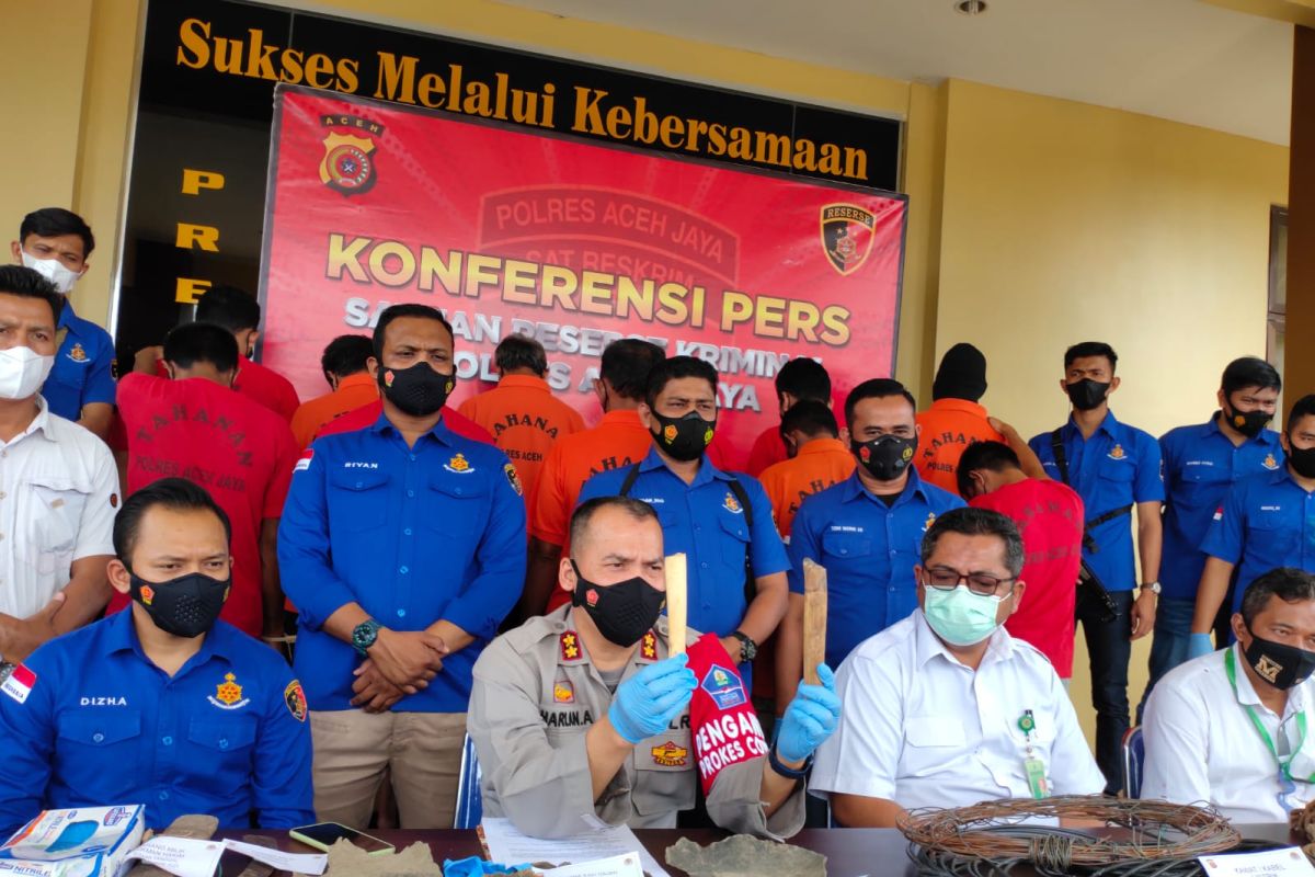 Polisi tangkap 11 pelaku terlibat kematian lima ekor gajah di Aceh Jaya