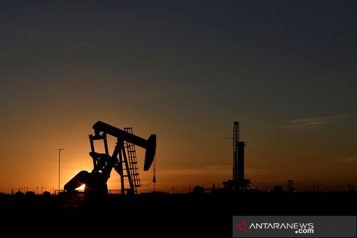 Harga minyak "rebound", naik tipis jelang pertemuan OPEC minggu depan