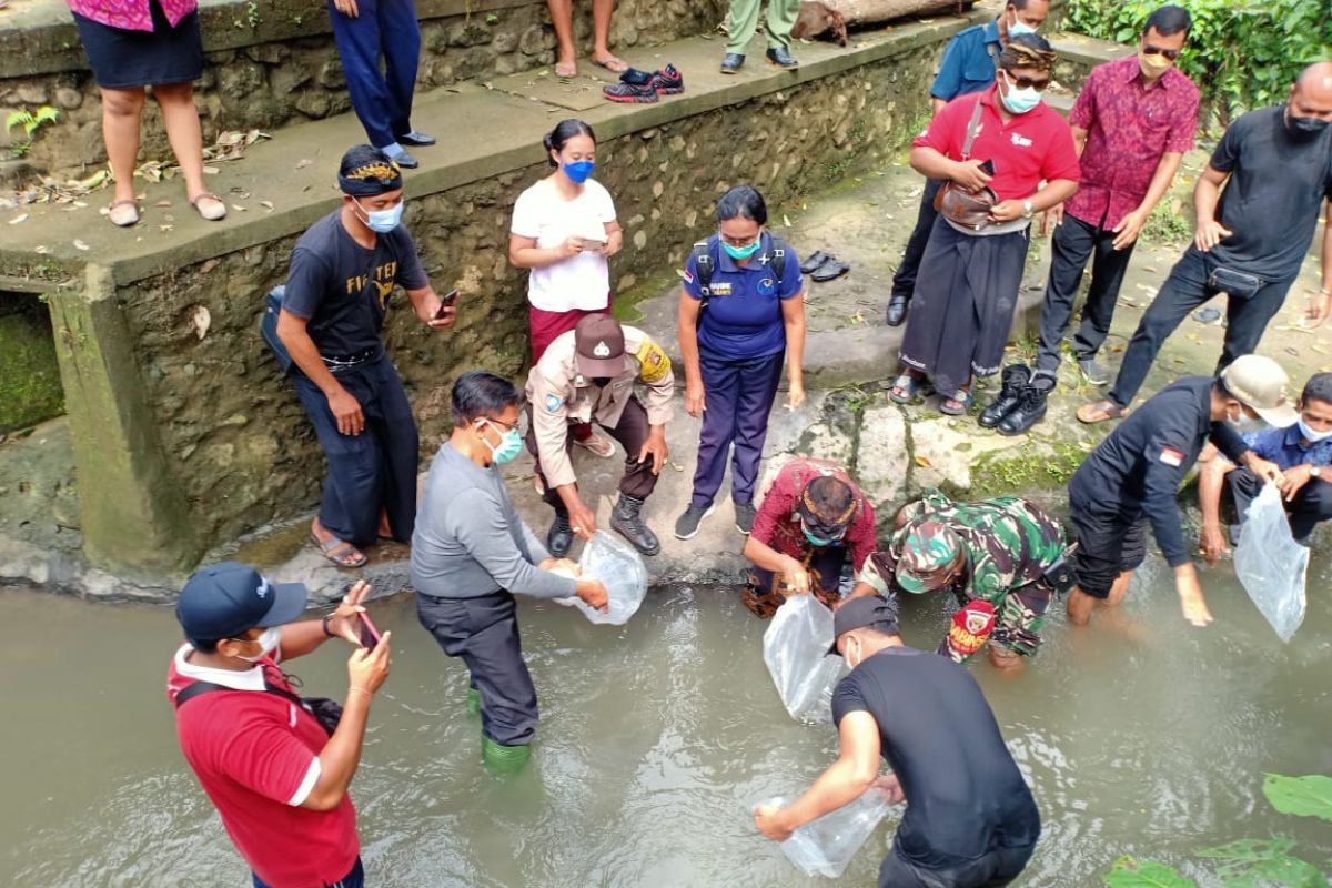 Selama 2021, Dinas Perikanan Badung tebar 1,7 juta benih ikan