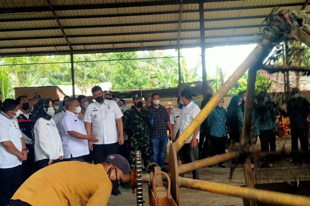 Olah sampah jadi pupuk, Pemkot Medan ingin bebas dari predikat kota terjorok