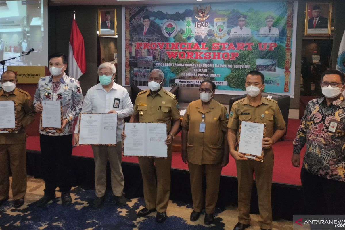 Provinsi Papua Barat pacu komoditi lokal unggulan lewat program TEKAT