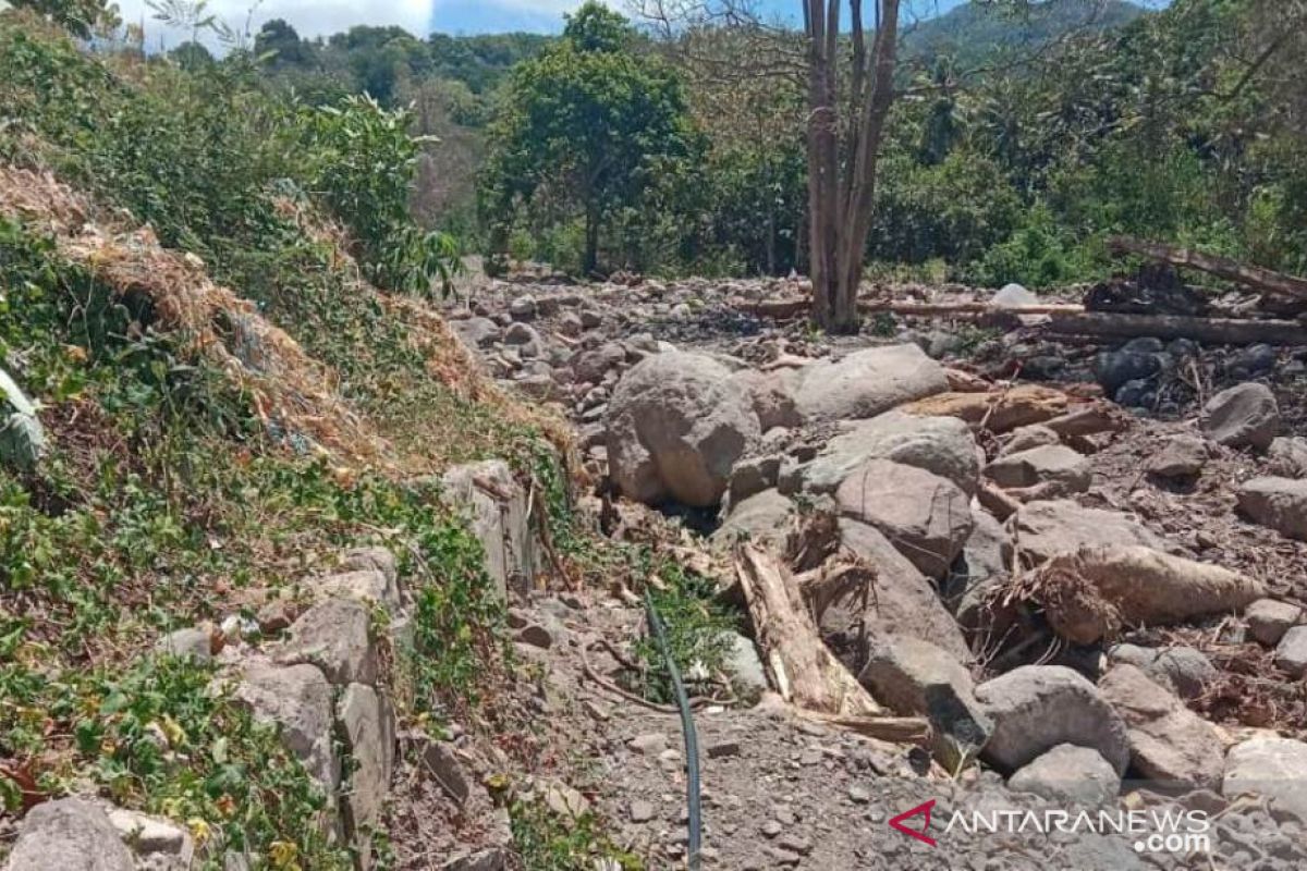 Puluhan hektare lahan sawah di Beloto, Flores Timur terancam gagal tanam
