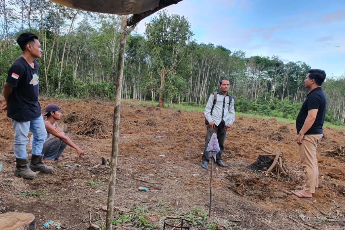 Melalui aspirasi dewan politisi muda ini geliatkan budidaya porang