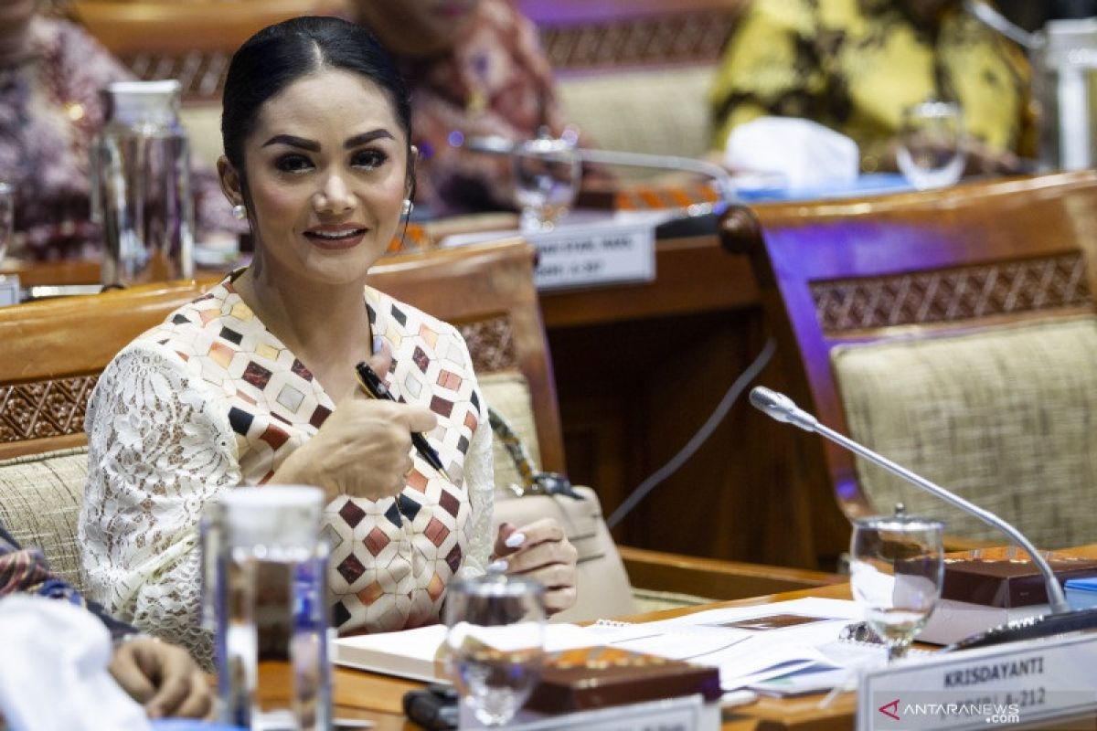 Krisdayanti nyatakan dana reses bukanlah pendapatan pribadi Anggota DPR