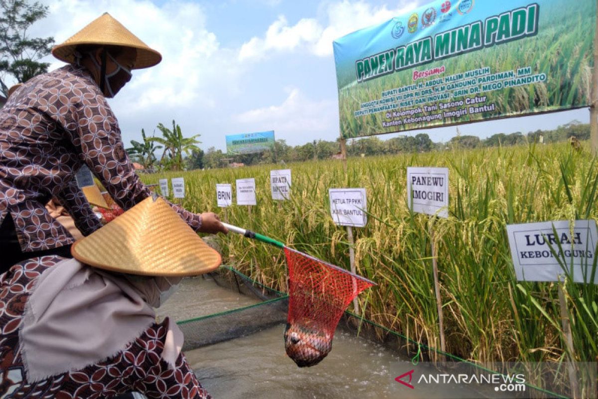 Bupati : Pertanian salah satu sektor unggulan dan strategis di Bantul